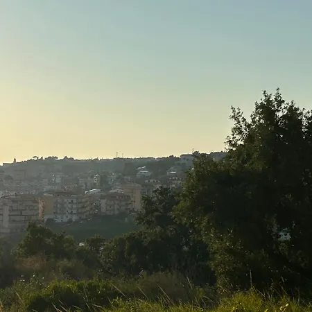 La Vitta E Bella